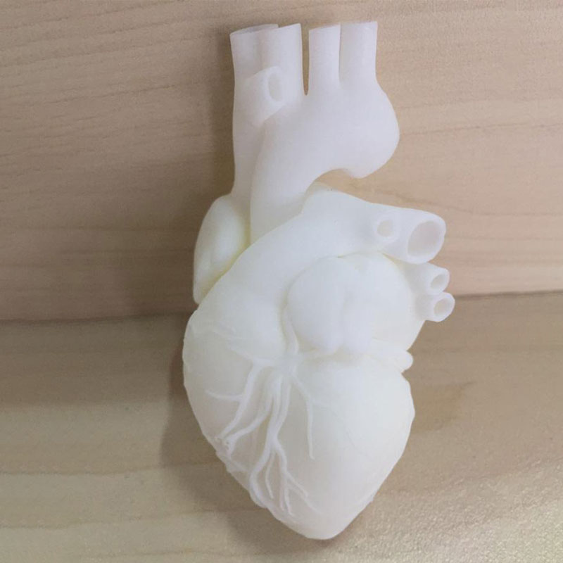 心脏模型3D打印